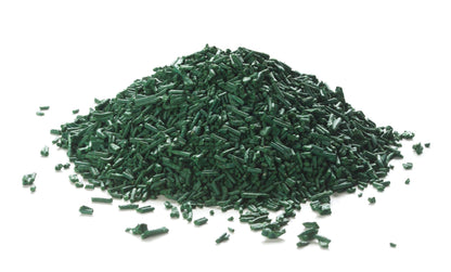 Spiruline en brindilles